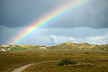 Regenboog over de duinen