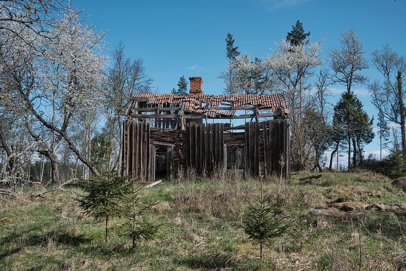 Dilapidated Swedish house by Geertjan Plooijer