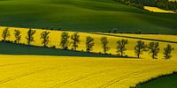 Toscaans Moravië, Tsjechië van Adelheid Smitt thumbnail