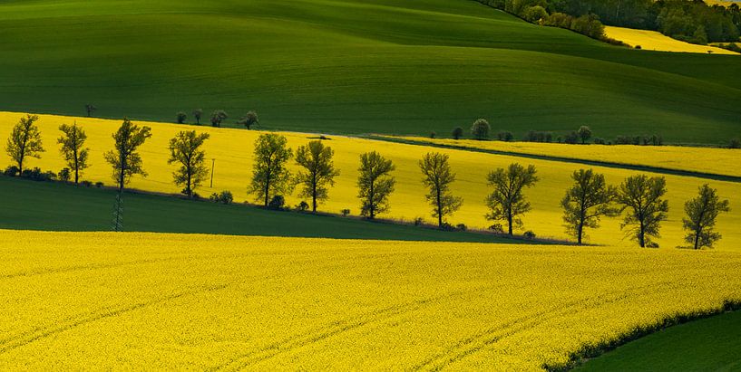 Toscaans Moravië, Tsjechië van Adelheid Smitt