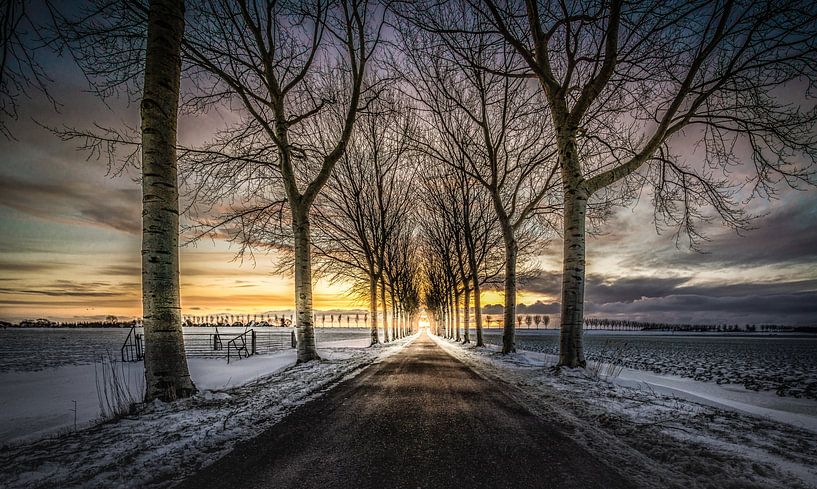 Zonsopkomst in de winter. van Mario Calma