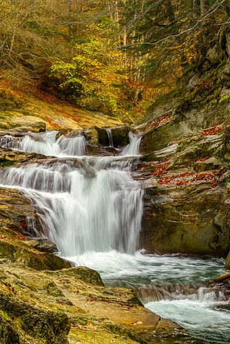 Falling Softly