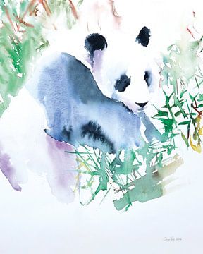 Panda, Aimee Del Valle