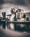 Guggenheim Museum Bilbao und hoher Baum und das Auge von Harmen van der Vaart Miniaturansicht