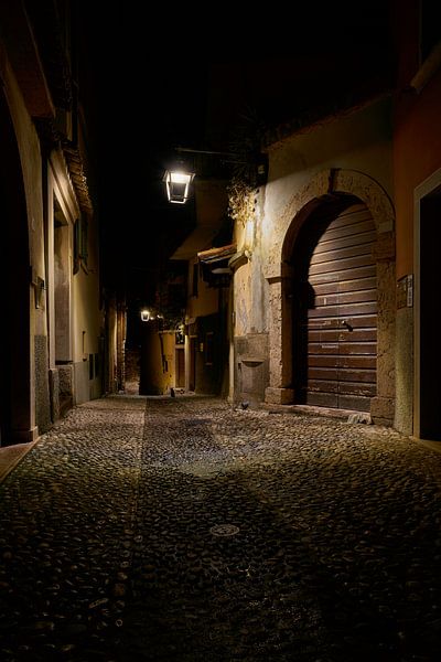Old town of Malcesine at night in Italy by Heiko Kueverling