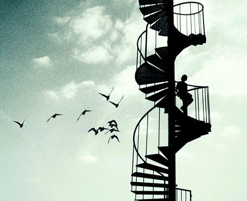 the boy and the birds
