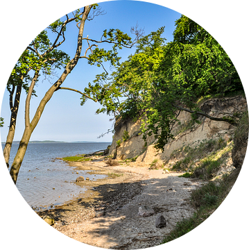 Natuurlijk strand, lagune in Lietzow, Great Jasmund Bodden van GH Foto & Artdesign