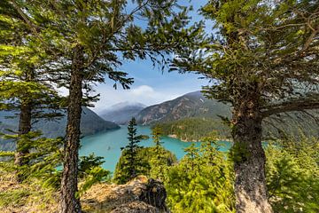 Fenster zur Wildnis - Blick auf den Diablo Lake, North-Cascades-Nationalpark