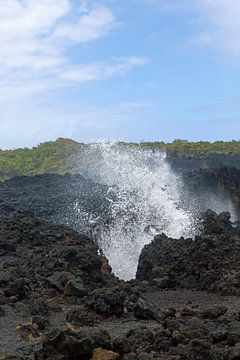 Nevel op de lavakust van Maui (Hawaii)