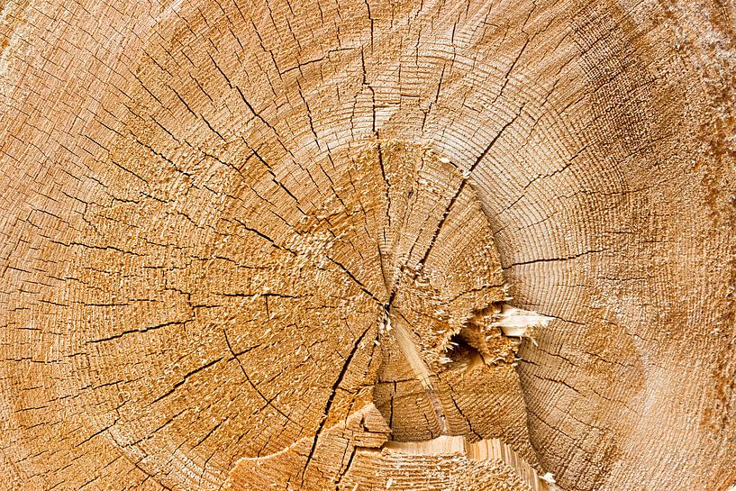 gezaagd hout van Thomas Heitz