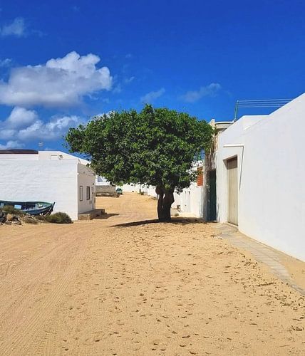 La Graciosa