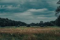 Dreigende wolken boven het Drentse landschap van Martijn Brink thumbnail