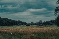 Dreigende wolken boven het Drentse landschap