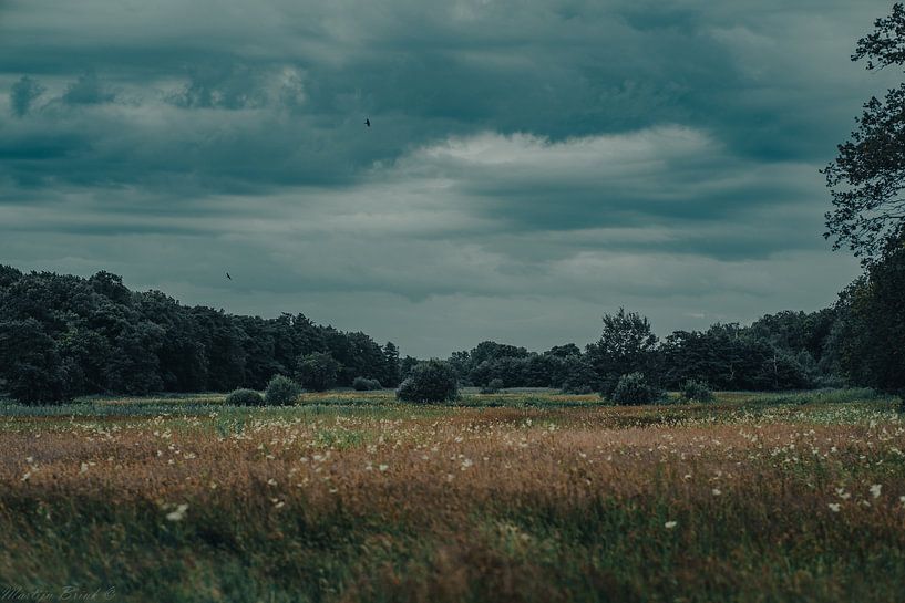 Dreigende wolken boven het Drentse landschap van Martijn Brink
