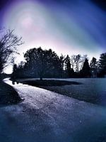 Spaziergang im Park