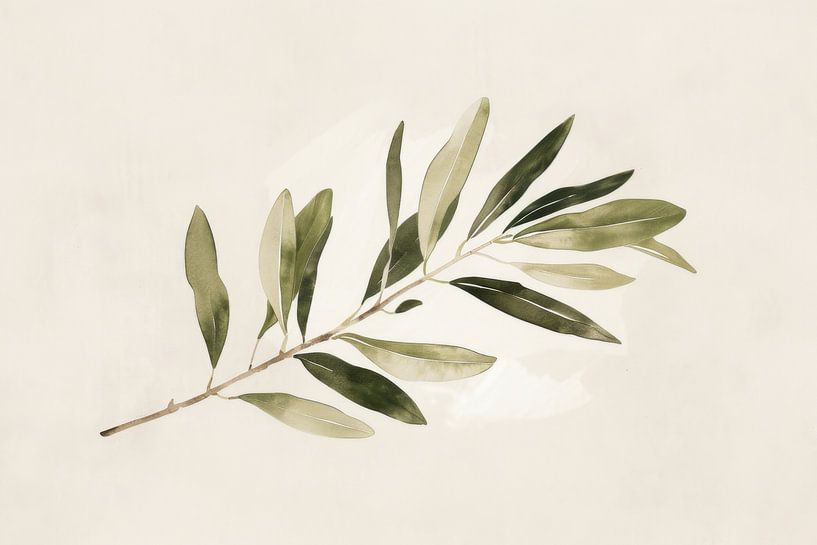Olive branch by Poster Art Shop