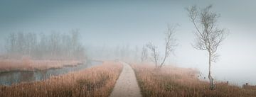 Panorama of a forest path by Remco Piet