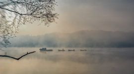 Boot mit Schleppkahn, Grote siep, Plasmolen, Mook (bei Nimwegen) von Jeroen Hoogakker