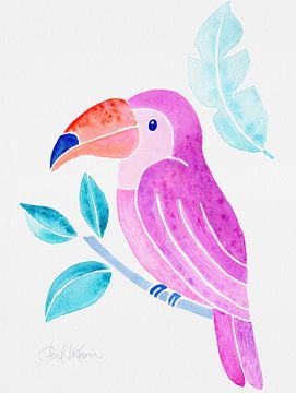 Pink Toucan