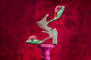 Chaussure de hanche, chaussures