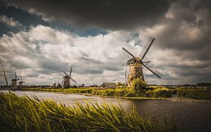 Kinderdijk VIII