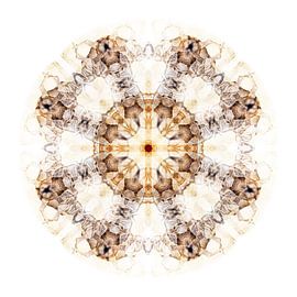 Compositie Wildebeest 1 von Herman van Ommen