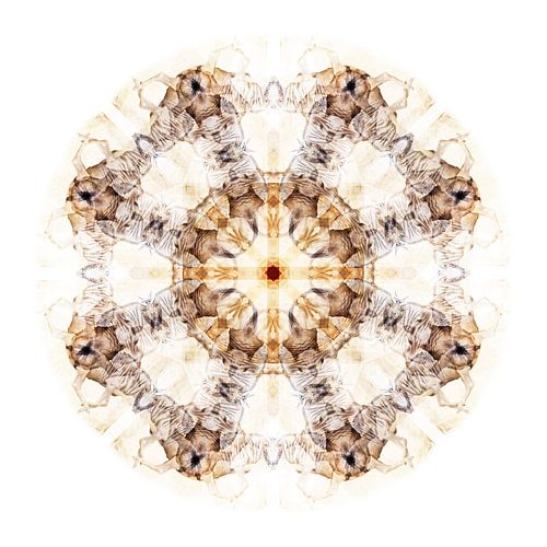 Compositie Wildebeest 1