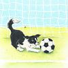 Sendie en de voetbal van Rianne Brugmans van Breugel thumbnail