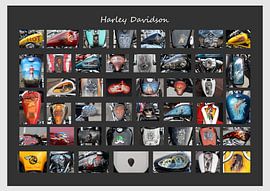Harley Davidson - Collage