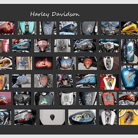 Harley Davidson - Collage by Matthias Brix
