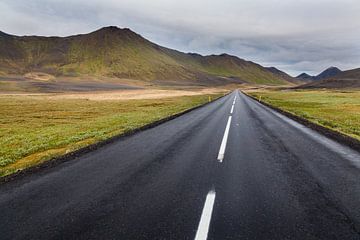 Ringweg IJsland van Bart van Dinten