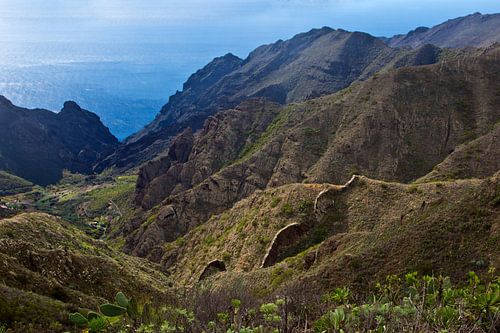 Anaga Gebirge Teneriffa