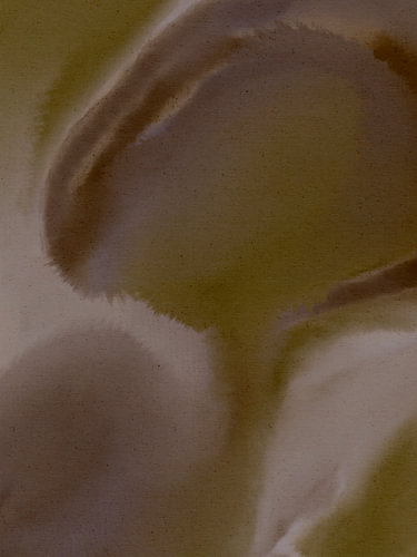 Wet Canvas 22