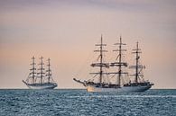 Segelschiffe auf der Hanse Sail in Rostock. van Rico Ködder thumbnail
