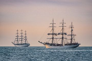 Segelschiffe auf der Hanse Sail in Rostock. von Rico Ködder
