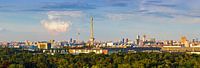 Berlin Skyline von Frank Herrmann Miniaturansicht
