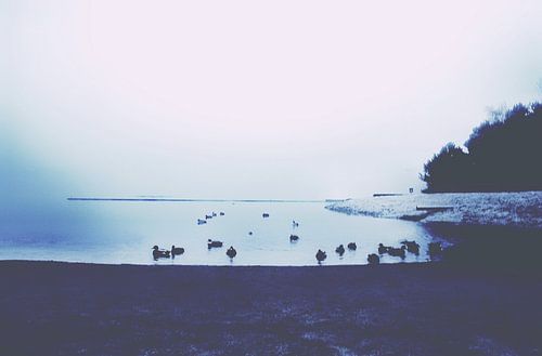 Het meer 