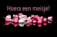 Hoera een meisje!   (Muisjes Rosse/Wit) van Henk Egbertzen thumbnail