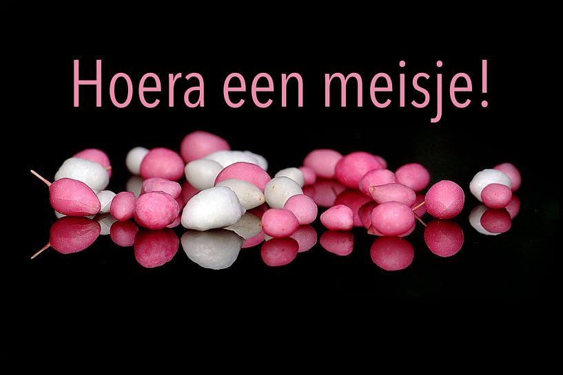 Hoera een meisje!   (Muisjes Rosse/Wit) van Henk Egbertzen