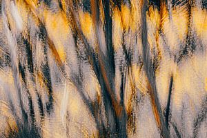 Impression