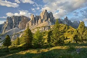 Canne Sella sur Rainer Mirau