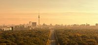 Berlin Skyline im Sonnenaufgang von Frank Herrmann Miniaturansicht