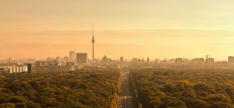 Berlin Skyline im Sonnenaufgang von Frank Herrmann