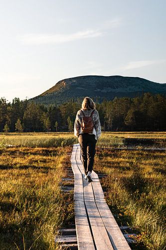 Wandern in der Wildnis | Sommerabend in Idre, Dalarna, Schweden