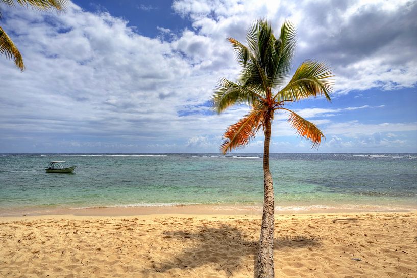 On the beach of Pirates of the Caribbean Playa Fronton by Roith Fotografie