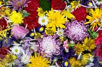 Colourful watery floral scene