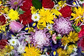 Bunte Blumenszene mit Wasser von Stella Ammerlaan