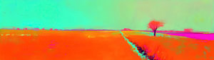 Feld Neon