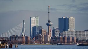 Skyline von Rotterdam.