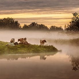 Koeien in de mist van Frans Lemmens